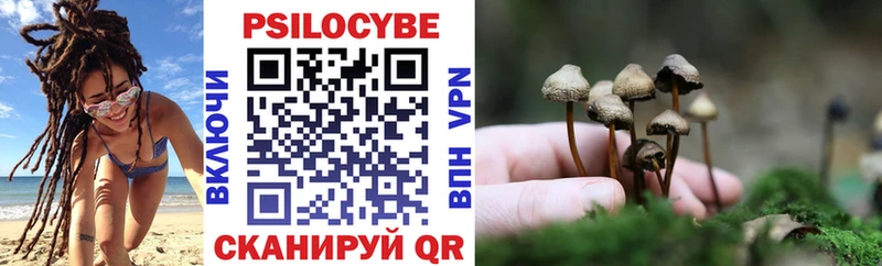 продажа наркотиков  Динская  Псилоцибиновые грибы Psilocybe 