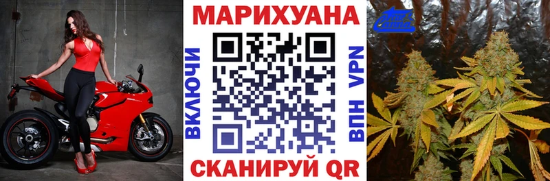 Каннабис гибрид  Динская 